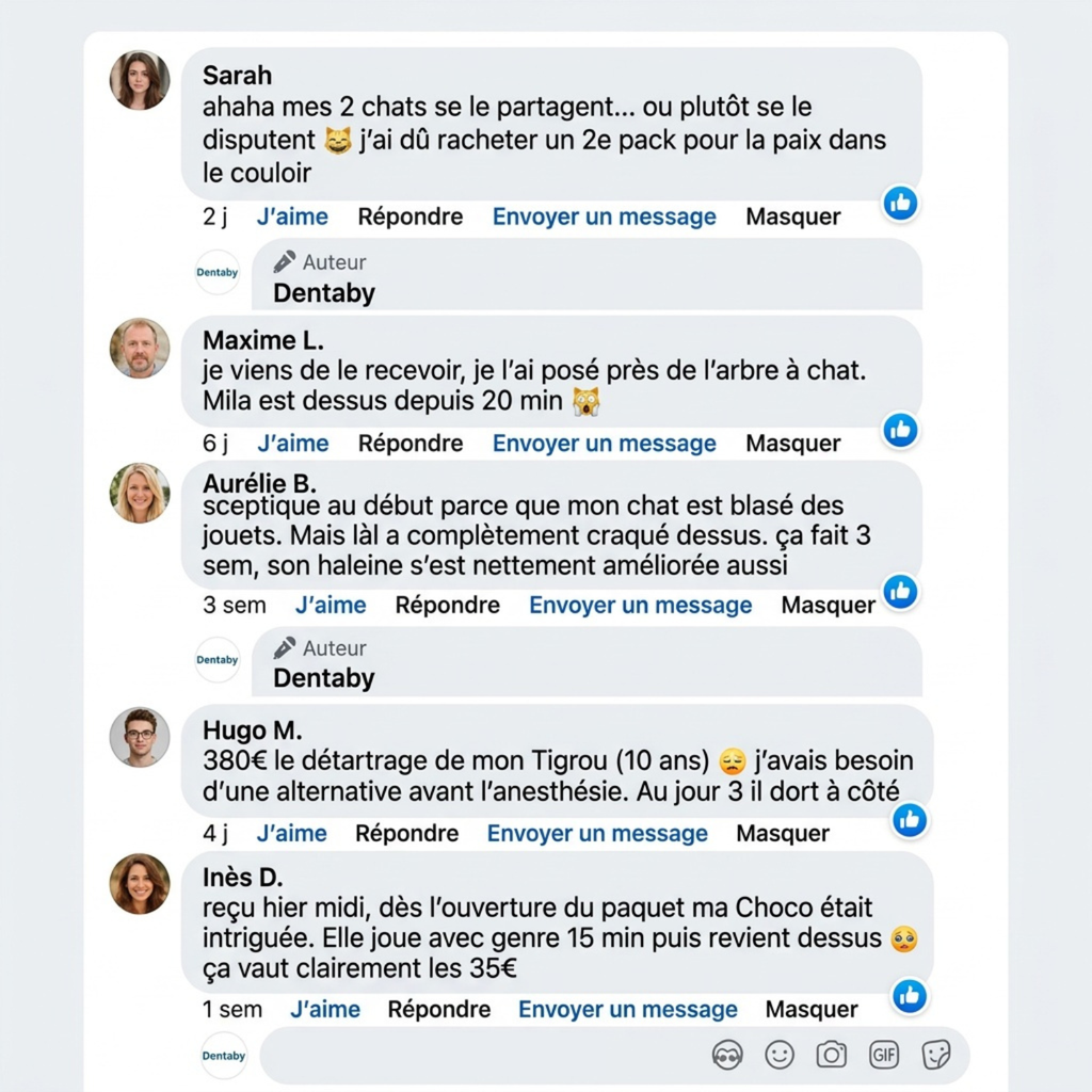 Le seul brossage que ton chat réclame.