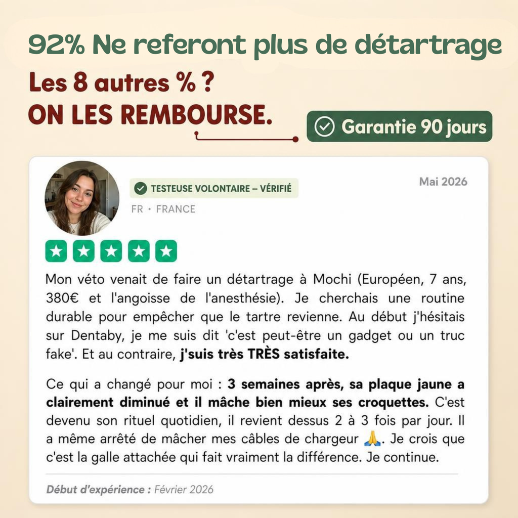 Le seul brossage que ton chat réclame.