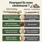 Le seul brossage que ton chat réclame.
