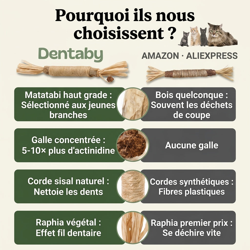 Le seul brossage que ton chat réclame.