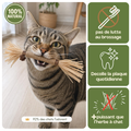Le seul brossage que ton chat réclame.