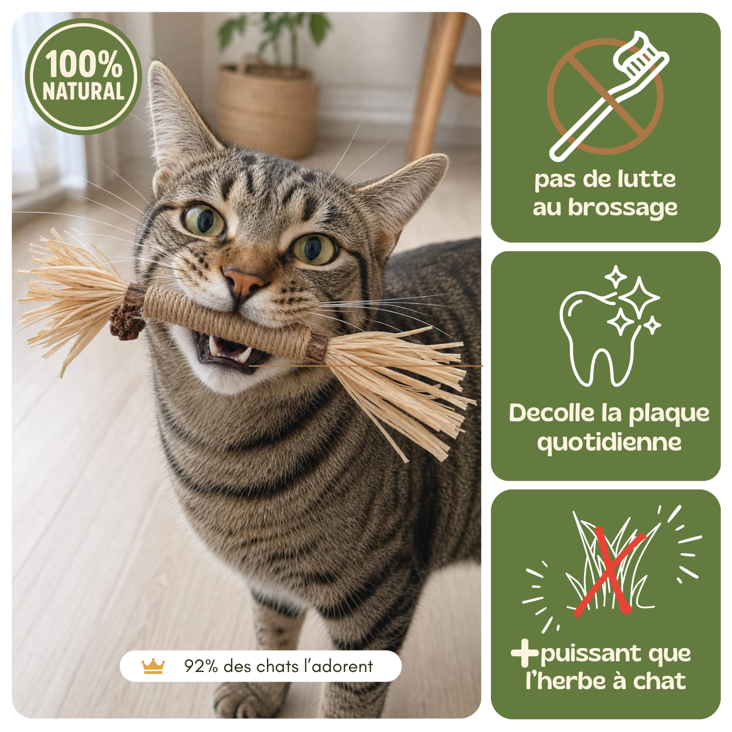 Le seul brossage que ton chat réclame.